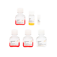 ObaCell® Fat-on-a-Chip ASC Kit